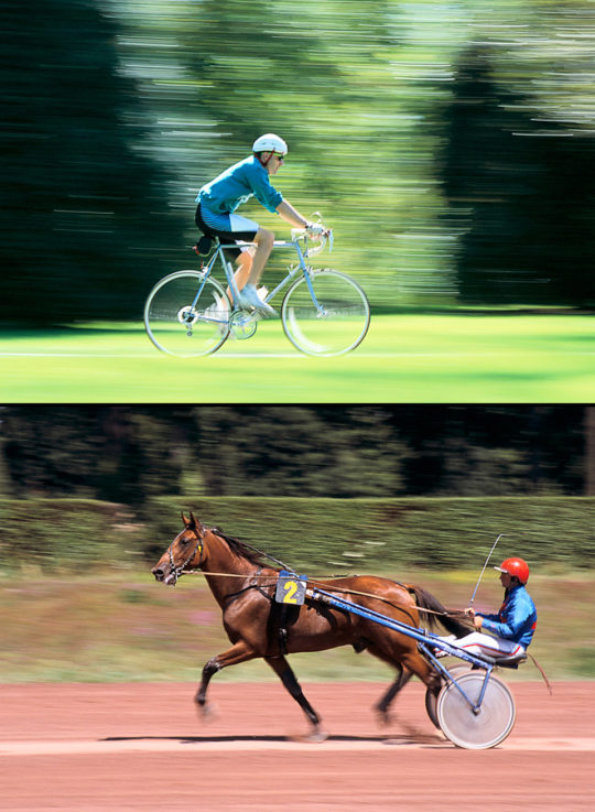 Roue libre (Haut : Geneva – Illinois – USA -1993 / Bas : Enghien-les-Bains - 1998)