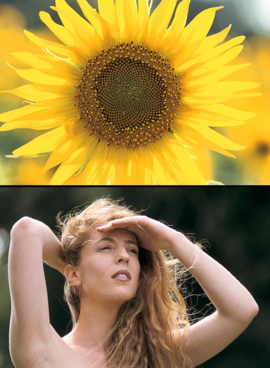 Plein soleil (Haut : Pernes-les-Fontaines - Vaucluse - 1998 / Bas : Le Breuil  - Yvelines - 1998)